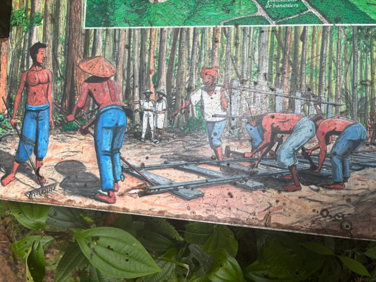 Reisebericht Französisch Guyana 2026